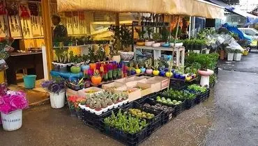 برای خرید گل در تهران کجا بریم؟