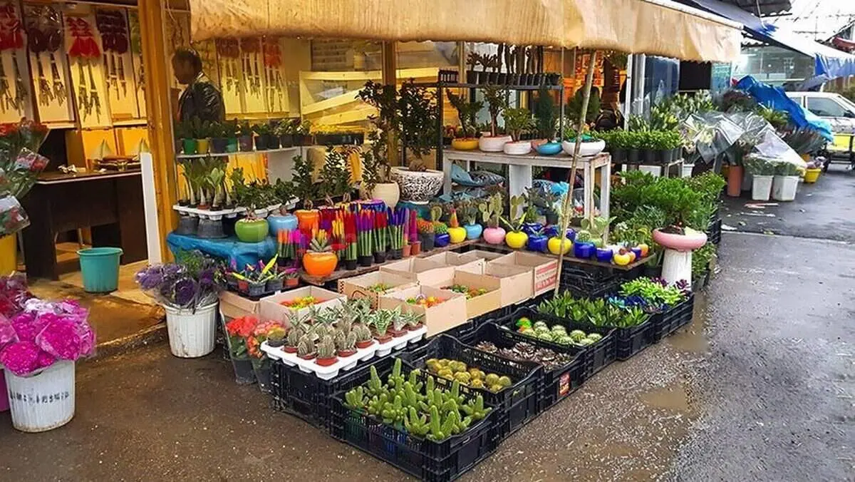 برای خرید گل در تهران کجا بریم؟