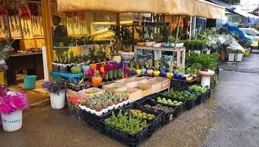 برای خرید گل در تهران کجا بریم؟