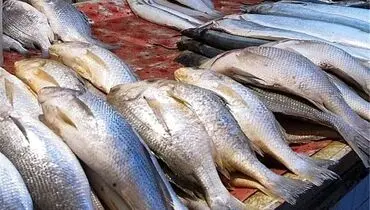 وقتی غذای شب عید هم لاکچری می شود!