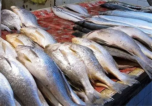 این اعتیاد را در شب عید جدی بگیرید!