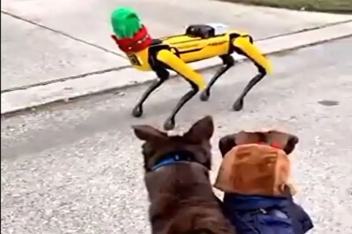 واکنش جالب دو سگ‌ با دیدن سگ رباتیک!+ فیلم