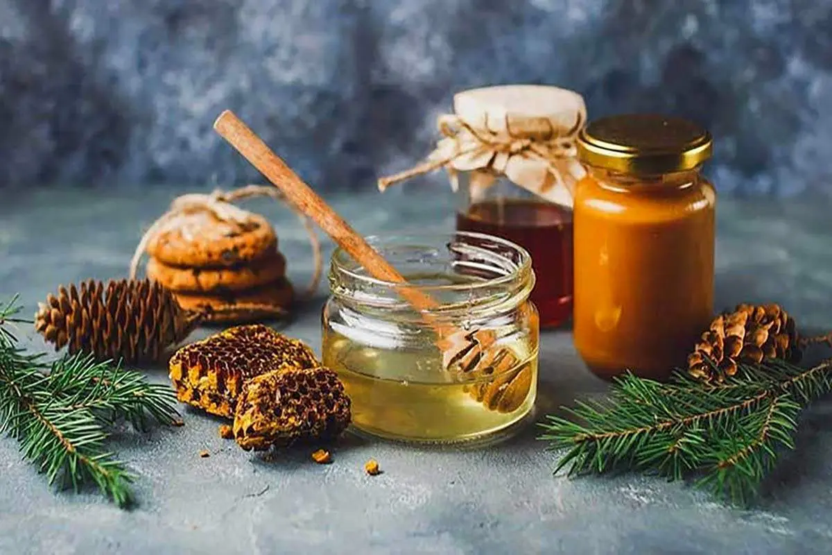 چگونه عسل تقلبی را بشناسیم؟