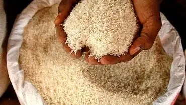 قیمت جدید برنج ایرانی و خارجی