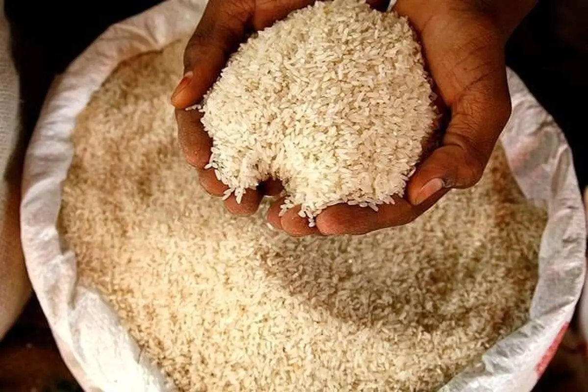 قیمت جدید برنج ایرانی و خارجی