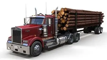 چپ کردن وحشتناک کامیون حمل چوب!+ فیلم