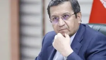 هشدار جدی همتی به دولت درباره تورم و نرخ ارز+ عکس