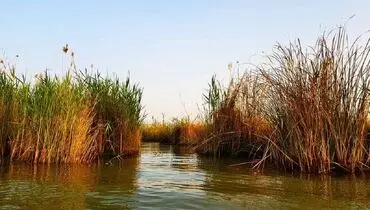 نمایی چشم نواز از تالاب شادگان از آسمان+ تصاویر