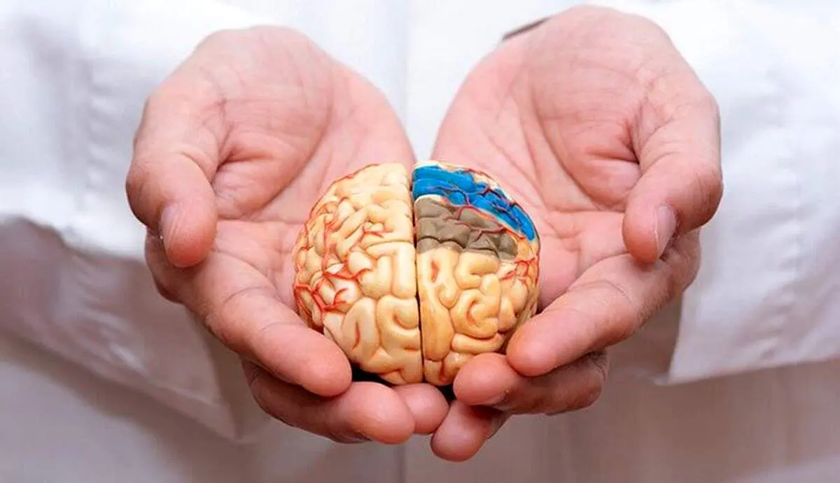 با اولین علامت آلزایمر زودرس آشنا شوید
