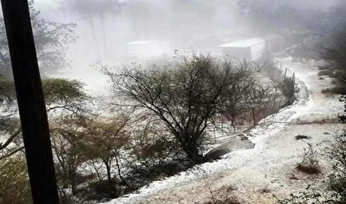 بارش خیره کننده برف در عربستان!+ فیلم