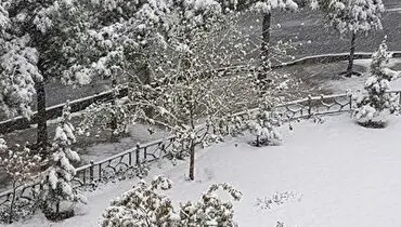 بارش برف در بیست چهارمین روز بهار در طالقان+ فیلم