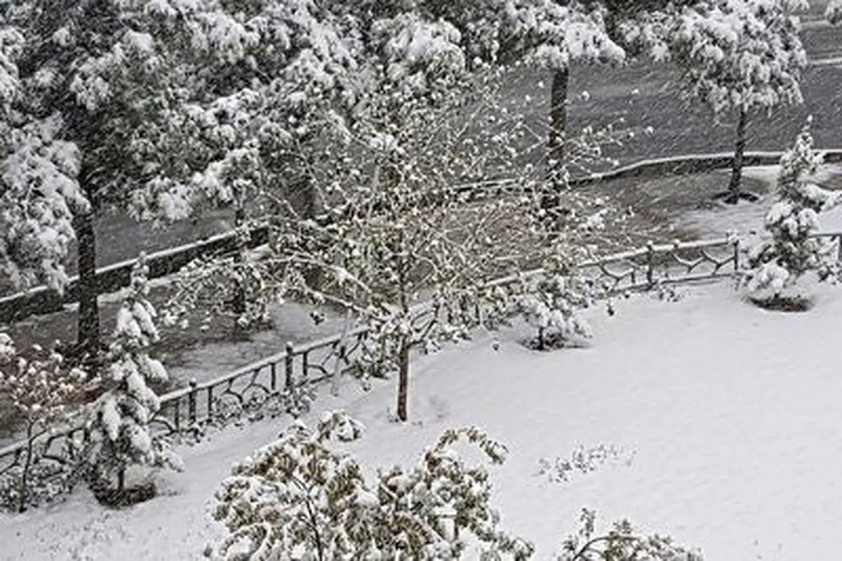 بارش برف در بیست چهارمین روز بهار در طالقان+ فیلم