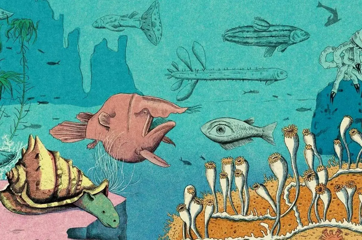 رقابت تنگاتنگ دانشمندان برای کشف گونه های جدید اقیانوسی