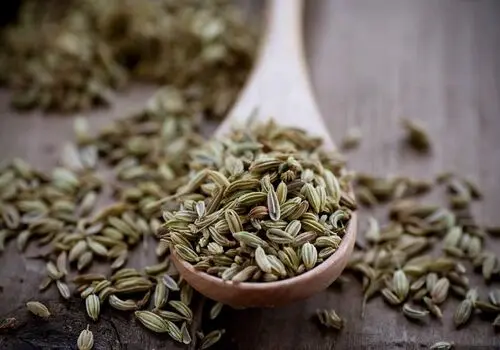 چگونه با مصرف رازیانه لاغر شویم؟