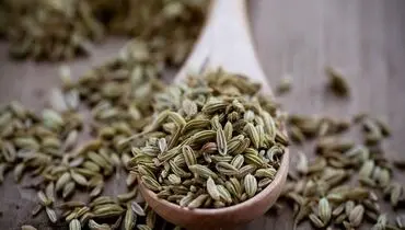 فواید معجزه آسای رازیانه برای دردهای گوارشی