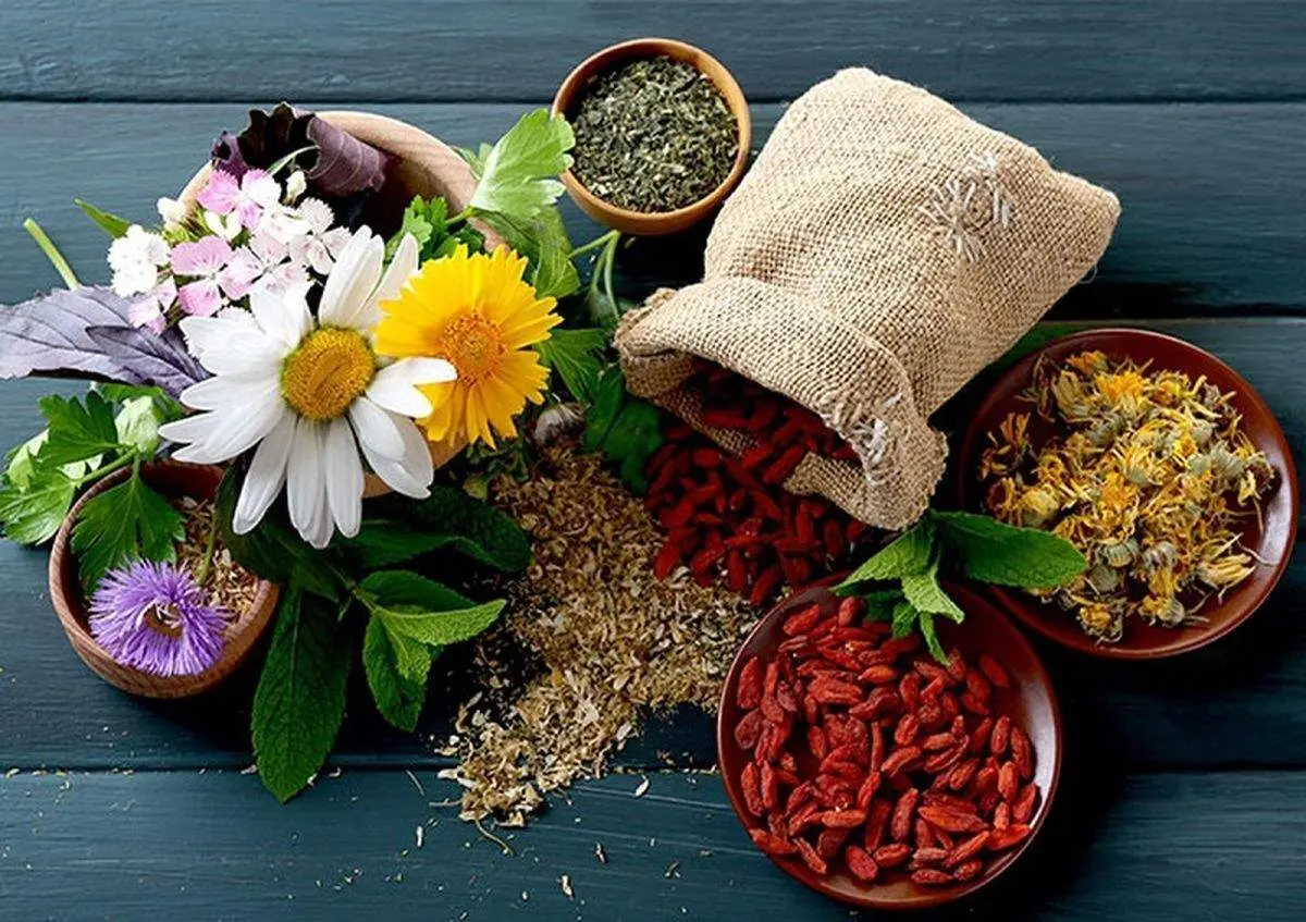 گیاهان دارویی مفید برای درمان سرماخوردگی کودکان