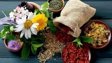گیاهان دارویی مفید برای درمان سرماخوردگی کودکان