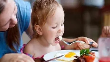 ایده جالب برای صبحانه خوردن کودکان+ فیلم