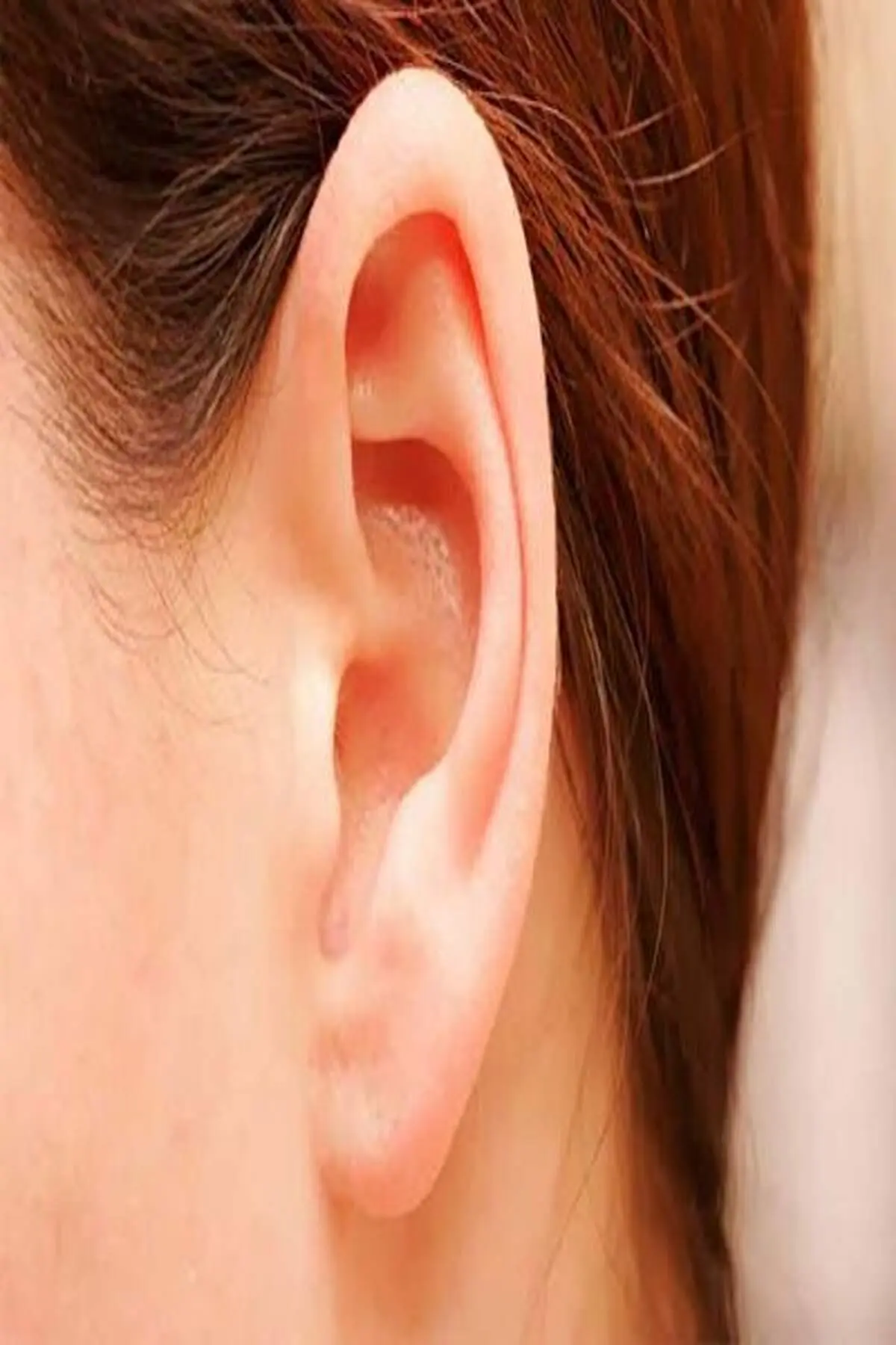 با ارزیابی این تست از سن گوشتان مطلع شوید + فیلم
