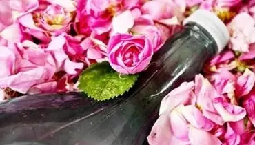 به این دلیل حیاتی حتما گلاب بخورید