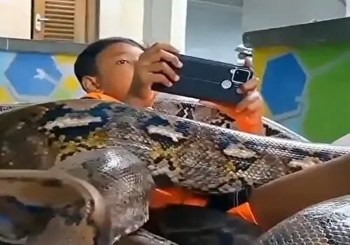 کنجکاوی پسر بچه به پیدا کردن گنج ختم شد 