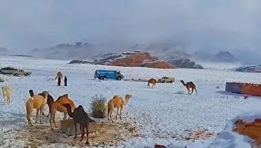 بارش برف بی‌موقع، عربستانی ها را غافلگیر کرد!+ فیلم
