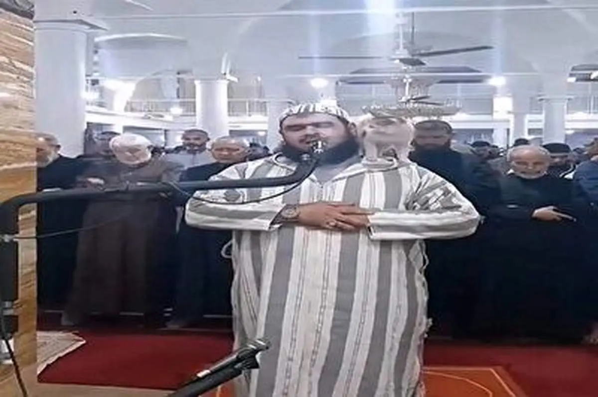برخورد جالب امام جماعت با گربه روی شانه اش+ فیلم