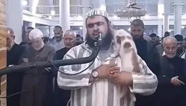 نشستن گربه بازیگوش بر شانه امام جماعت!+ فیلم
