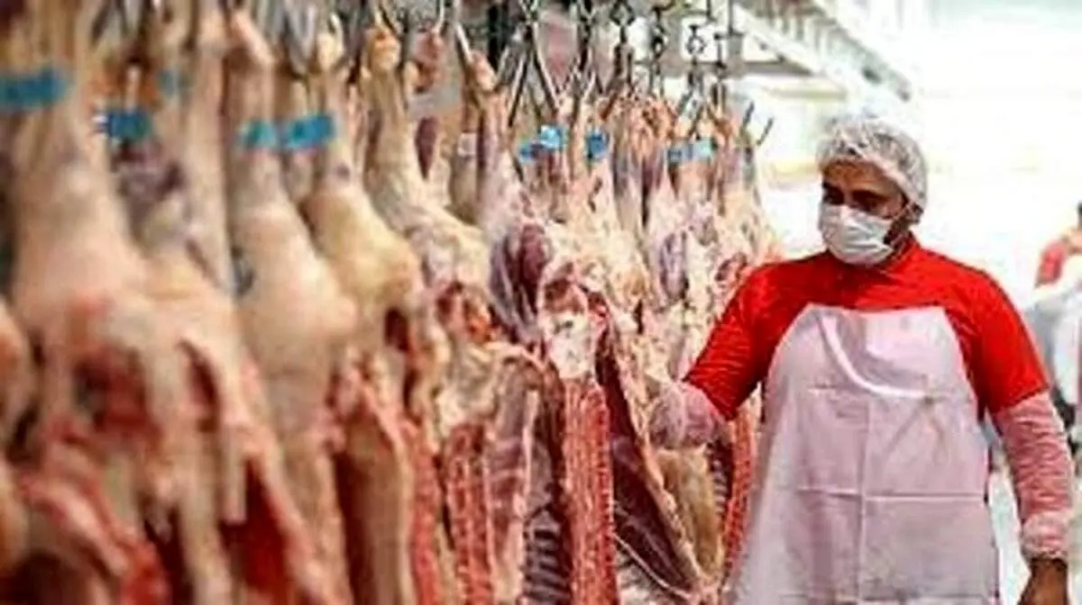 شایعه ارزانی گوشت قرمز واقعیت دارد؟