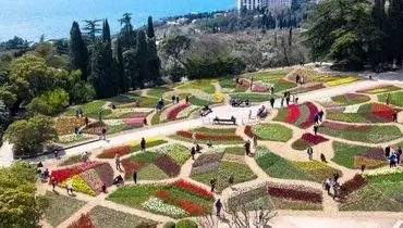 نمایشگاه سالانه رژه لاله ها در باغ گیاه شناسی روسیه