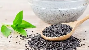 معجزه ای به نام  تخم شربتی برای روزه داران