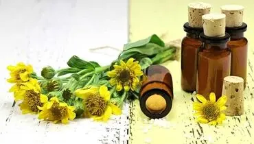 این ده گیاه مسکن دارند