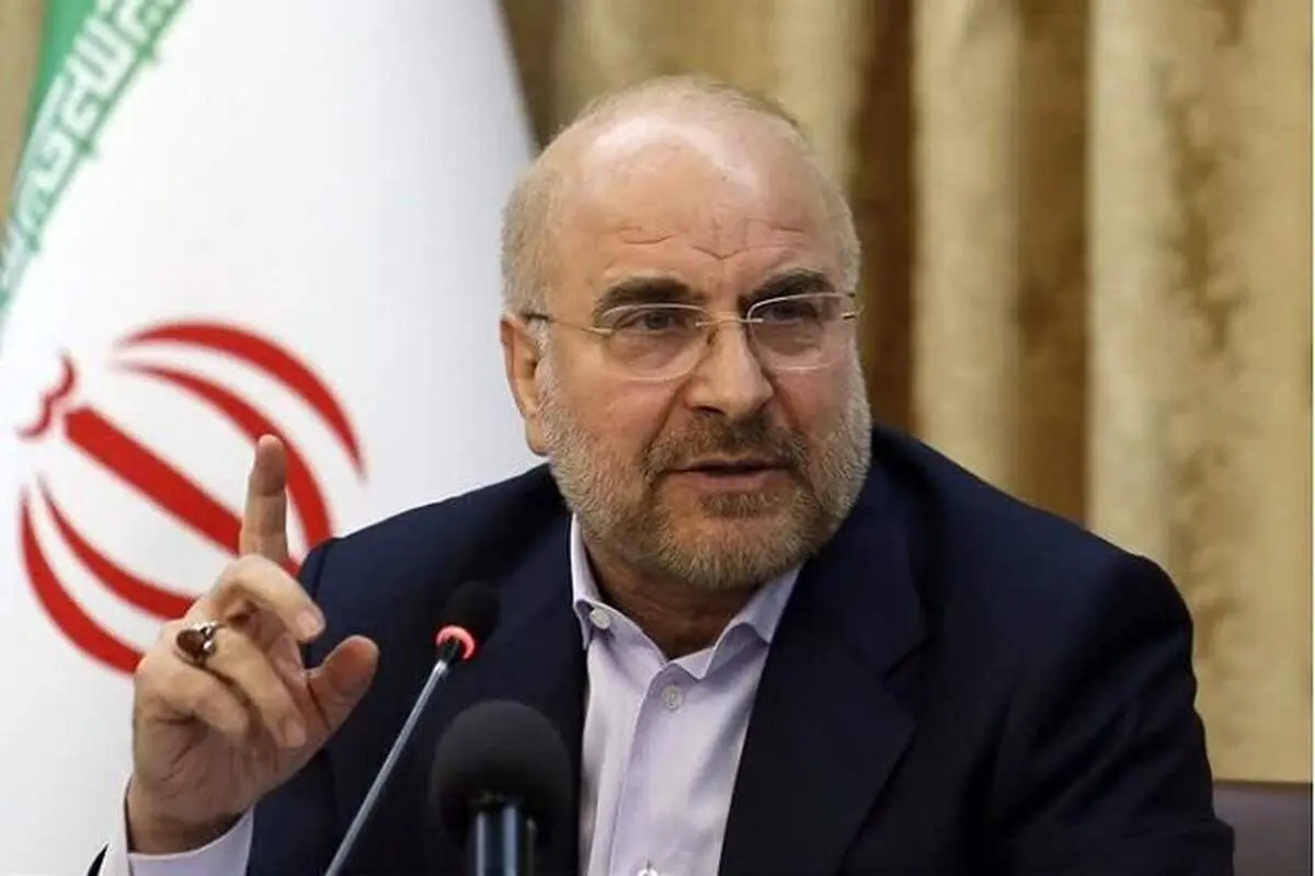 رئیس مجلس: ازدواج یا طلاق اجباری زنان ممنوع می‌شود