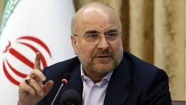 رئیس مجلس: ازدواج یا طلاق اجباری زنان ممنوع می‌شود