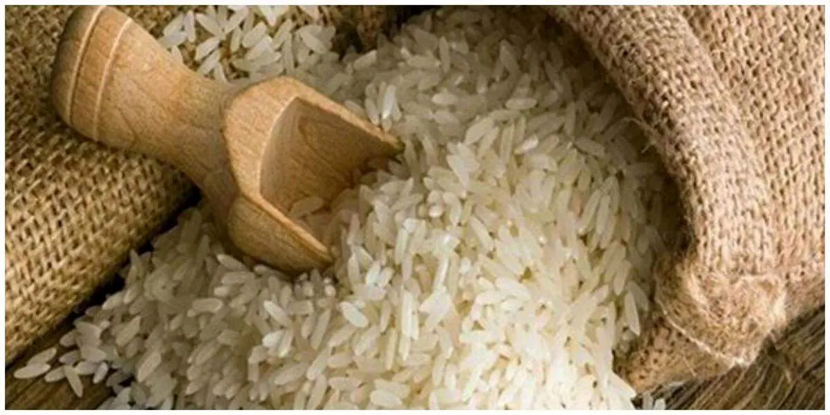 منتظر باشید، برنج ارزان می شود