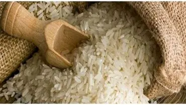 منتظر باشید، برنج ارزان می شود