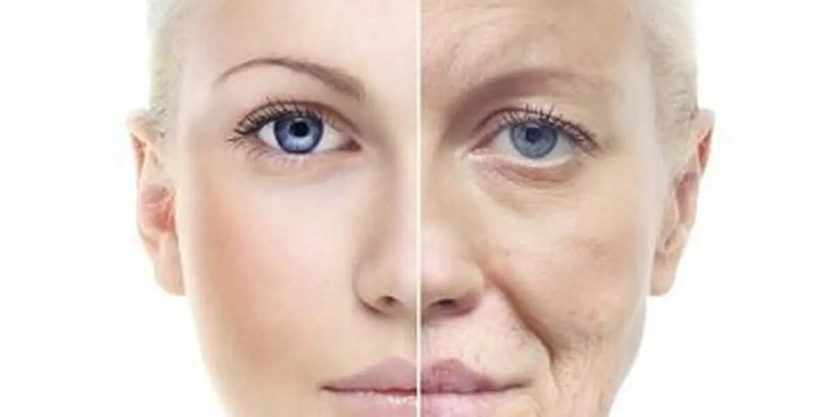 راهکاری جدید برای معکوس کردن پیری