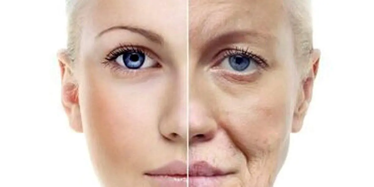 راهکاری جدید برای معکوس کردن پیری
