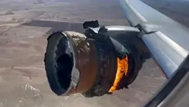  آتش گرفتن موتور هواپیمای مسافربری پس از برخورد با پرندگان+ فیلم