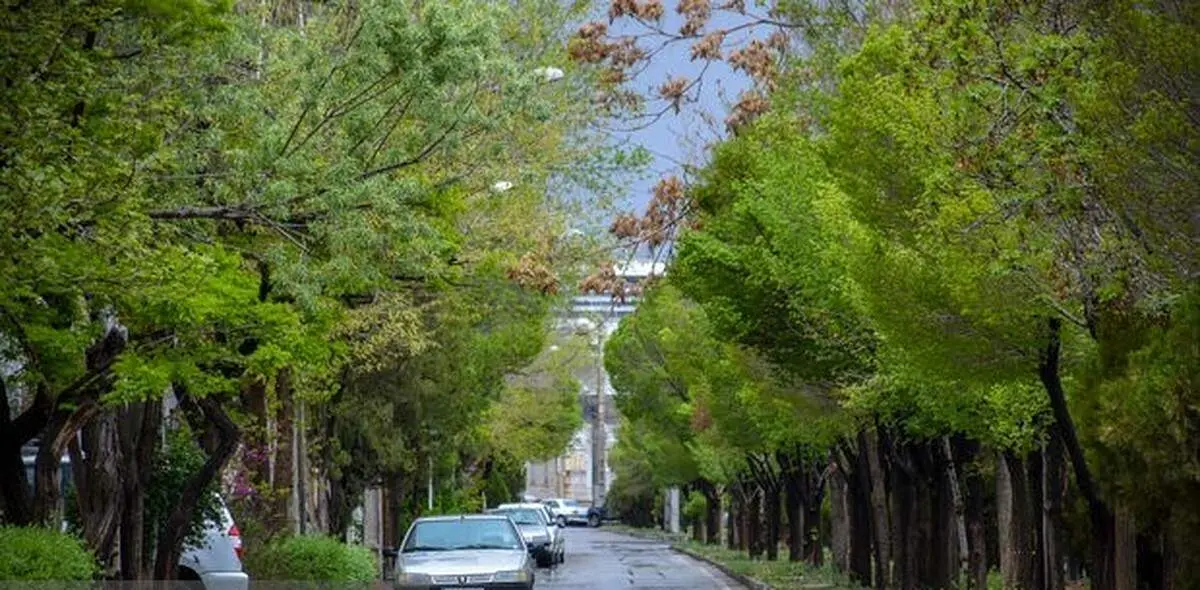 تهران امروز باران میبارد+ فیلم