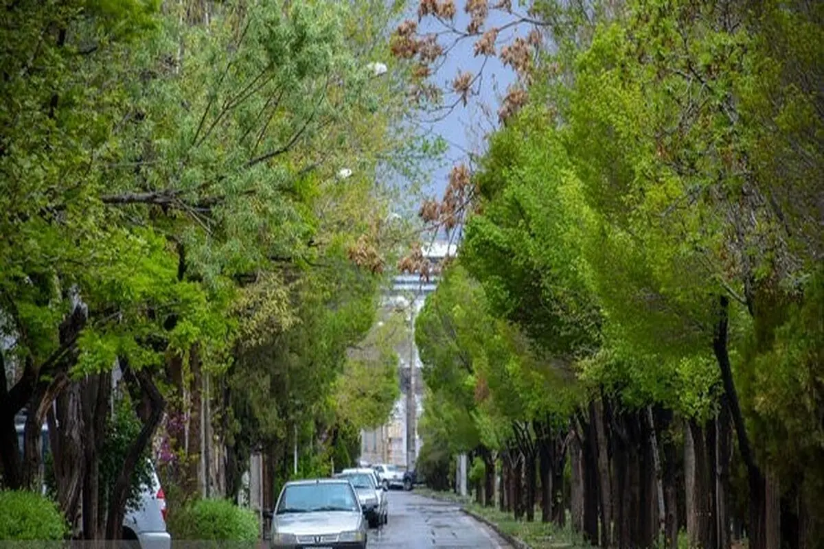 تهران امروز باران میبارد+ فیلم