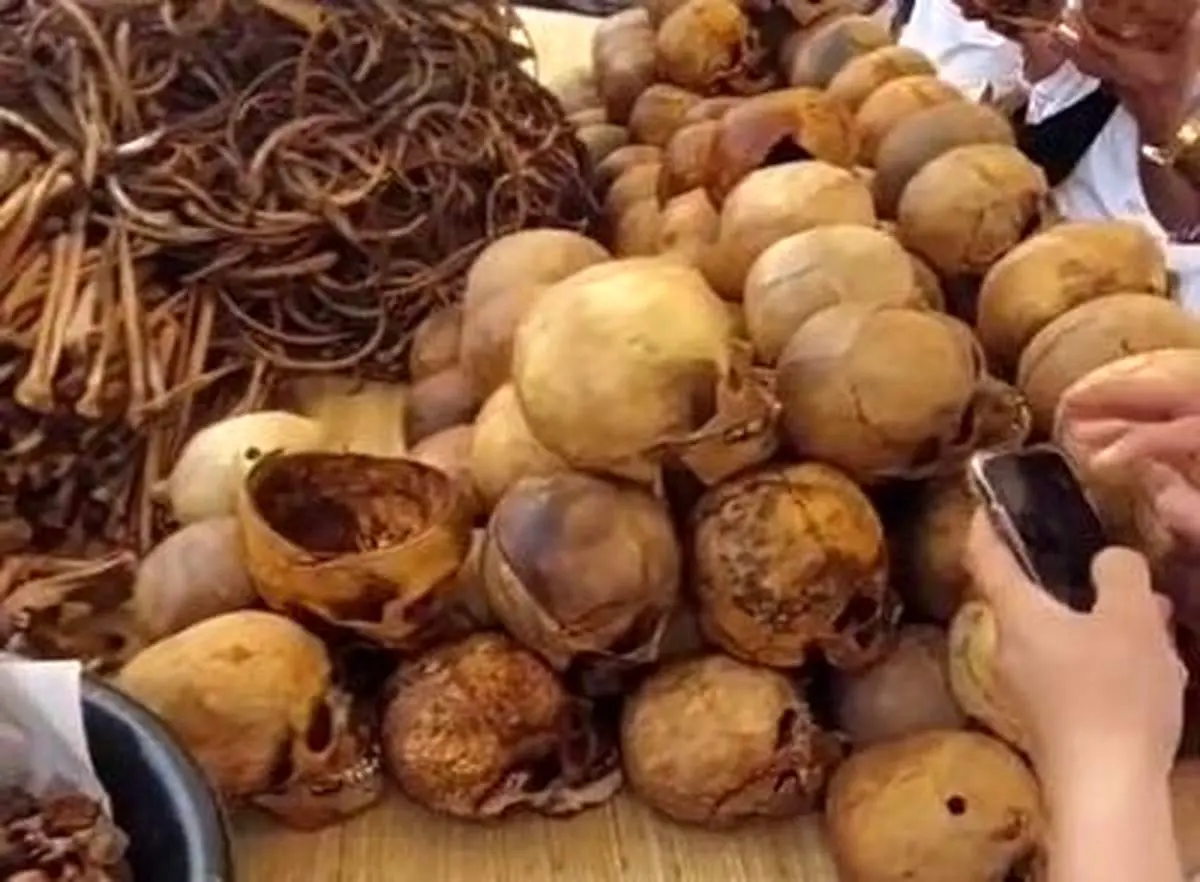 مراسم عجیبی که استخوان مردگان را به نمایش می گذارند!+ فیلم