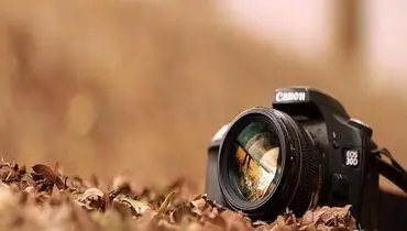 عکس های منتخب روز جهان