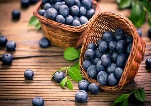 از مصرف این مواد غذایی ضد پیری به آسانی نگذرید!