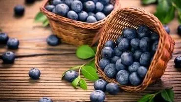 بلوبری فشارخون را کاهش و مغز را تقویت می‌کند