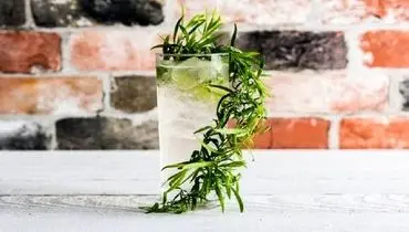 طرز تهیه شربت ترخون