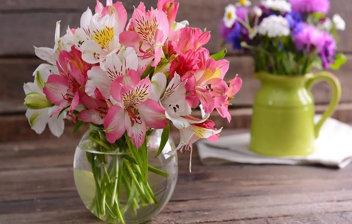 گل فروشی ها چگونه گل ها را نگه می دارند؟
