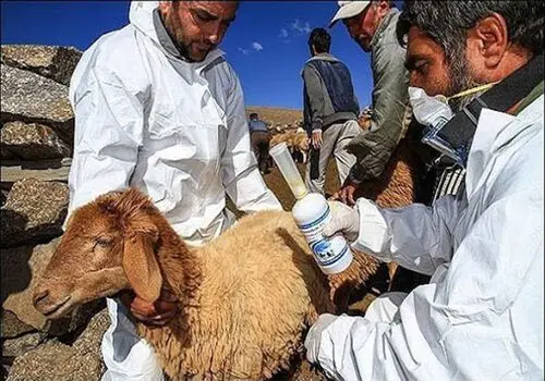 حضور مِرال در روستای مازندران سوژه شد+فیلم