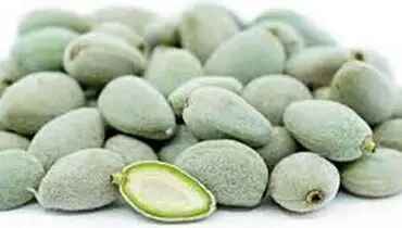 طرز تهیه ترشی چغاله بادام