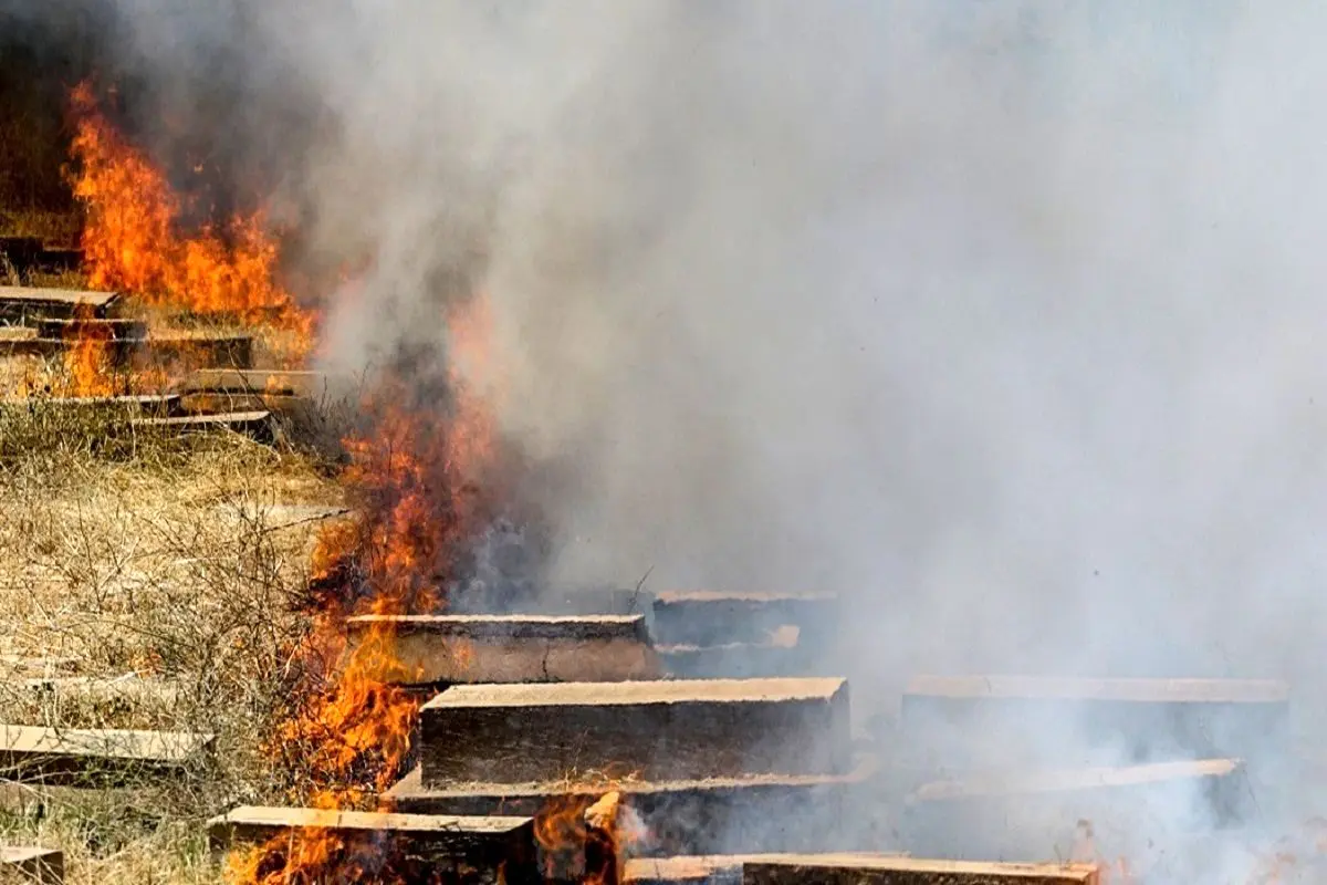 آتش‌سوزی در قبرستان ۱۰۰۰ ساله «دارالسلام» در شیراز+ تصاویر